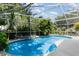 Inviting screened-in pool area featuring a uniquely shaped pool and tropical landscaping at 11506 Clair Pl, Clermont, FL 34711
