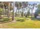 Lush backyard with mature palm trees, a brick fire pit, and a well-maintained lawn at 1617 Hontoon Rd, Deland, FL 32720