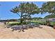 Outdoor patio featuring seating and a shade tree, perfect for entertaining or relaxing at 505 S Cooper St, New Smyrna Beach, FL 32169
