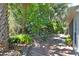 Beautiful backyard featuring lush foliage and mature plants, creating a private and tranquil outdoor space at 1125 N Mc Donald St, Mount Dora, FL 32757