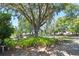 Beautiful front yard featuring mature trees, lush landscaping, and a paver driveway for added curb appeal at 1125 N Mc Donald St, Mount Dora, FL 32757