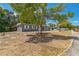 View of single-story home featuring mature trees, gray paint, and manicured lawn at 1234 Parker Ave, Deltona, FL 32725