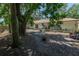 Backyard with mature trees, small patio, and ample space for outdoor activities at 1635 Magnolia Ave, South Daytona, FL 32119