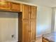 Spacious pantry with ample storage in a well-lit kitchen area at 1805 San Luis Ln, The Villages, FL 32159