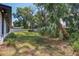 Expansive backyard with mature trees, lush lawn, and a privacy fence, ideal for outdoor entertaining and relaxation at 216 Shady Oaks Cir, Lake Mary, FL 32746