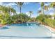 Clear swimming pool surrounded by lush palm trees and greenery at 309 Verona Ave, Davenport, FL 33897