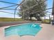 Refreshing pool area with a screened enclosure, offering privacy and outdoor enjoyment at 721 Rollins Dr, Davenport, FL 33837