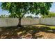The backyard offers a shaded area from the mature landscaping at 4522 Weeping Willow Cir, Casselberry, FL 32707