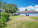 Spacious backyard with well-maintained lawn, mature trees, and a glimpse of a well-kept home under a bright sky at 1961 Lochshyre Loop, Ocoee, FL 34761