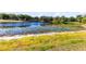 Scenic view of pond with vegetation on a sunny day at 4579 Westgrove Way, Orlando, FL 32808