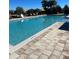 Community pool with crystal clear water, poolside seating and yellow umbrellas for shade at 604 Sarner Pass Way, Winter Haven, FL 33881