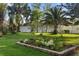 Lush backyard featuring a well-maintained lawn and various palm trees at 655 Eagle Pointe South, Kissimmee, FL 34746
