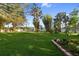 Expansive backyard with a lush green lawn and mature palm trees at 655 Eagle Pointe South, Kissimmee, FL 34746