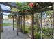 Charming backyard patio with a wooden pergola covered in climbing plants at 655 Eagle Pointe South, Kissimmee, FL 34746