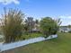 A lush backyard with palm trees and well-maintained grass enclosed by a white fence at 655 Eagle Pointe South, Kissimmee, FL 34746