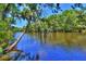 Scenic lake view framed by lush trees draped with Spanish moss, reflecting the tranquility of nature at 71 Lazy Eight Dr, Port Orange, FL 32128