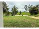 Spacious backyard with lush green grass and mature trees, offering a serene outdoor setting at 738 Pointe Emerson Blvd, Apopka, FL 32703
