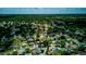 Expansive aerial view of the community showcasing beautiful tree coverage at 2729 Hilda Ct, Orlando, FL 32826