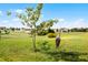 Picture of the serene backyard and tree with expansive green space, trees, and blue skies in the background at 346 Willet Ave, Apopka, FL 32703