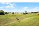 Large lot and spacious backyard at 346 Willet Ave, Apopka, FL 32703