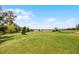 Expansive backyard featuring lush green grass and mature trees against a backdrop of a sunny blue sky with scattered clouds at 346 Willet Ave, Apopka, FL 32703