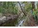 Peaceful scene of a canal surrounded by lush greenery and trees at 409 San Sebastian Prado, Altamonte Springs, FL 32714