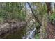 Scenic view of a narrow canal running through a wooded area at 409 San Sebastian Prado, Altamonte Springs, FL 32714