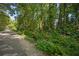 Scenic street view with lush greenery, mature trees, and glimpse of the nearby waterway at 677 Benitawood Ct, Winter Springs, FL 32708