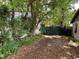 Overgrown backyard features mature trees and ground cover with a tarp to the right of the house at 2520 Raehn St, Orlando, FL 32806