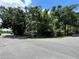 Overgrown property featuring lush, mature trees and vegetation offers privacy and a natural setting at 2520 Raehn St, Orlando, FL 32806