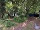 Exterior side view of home covered with mature trees and overgrown vegetation at 2520 Raehn St, Orlando, FL 32806
