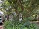Exterior side view of property covered with mature trees and overgrown vegetation at 2520 Raehn St, Orlando, FL 32806