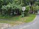 Exterior street view of the property showing overgrown vegetation at 2520 Raehn St, Orlando, FL 32806