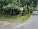 View from the street of the overgrown vegetation in front of the house at 2520 Raehn St, Orlando, FL 32806