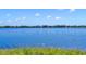 Beautiful lake view property with scenic vista, sparkling water, and blue sky on a sunny day at 7420 Lake Willis Dr, Orlando, FL 32821