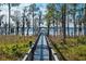 Picturesque dock leading to a serene lake, surrounded by natural vegetation and tall trees at 10339 Kensington Shore Dr # J-202, Orlando, FL 32827