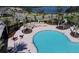 Aerial view of a sparkling community pool with lounge chairs and palm trees with a lake in the background at 5711 Hamlin Groves Trl, Winter Garden, FL 34787