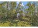 Well-maintained yard with a pathway leading to the lake and a private dock at 9222 Charles E Limpus Rd, Orlando, FL 32836
