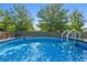 Backyard pool with ladder, surrounded by greenery at 387 Kantor Blvd, Casselberry, FL 32707