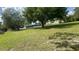 Expansive front yard with lush grass and mature trees shading a single-story home at 434 Diamond Acres Rd, Davenport, FL 33837