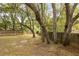 A spacious backyard featuring mature trees and a wooden fence, perfect for outdoor activities and privacy at 745 Oak Ln, Orange City, FL 32763
