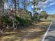 Land with native plants and tall trees on the side of a paved road at Tbd Royal Trails Rd, Eustis, FL 32736