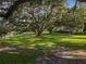 Scenic park featuring mature trees, moss, and lush green grass, creating a serene and inviting atmosphere at 136 Bridgeview Ct, Longwood, FL 32779