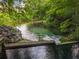 Scenic water view with lush greenery and foliage surrounding it at 136 Bridgeview Ct, Longwood, FL 32779