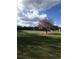 Scenic view of a park area with a blossoming tree, expansive lawn, and distant houses under a blue sky at 1570 Westover Loop, Lake Mary, FL 32746