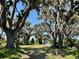 Expansive green space with moss-covered trees provides a serene setting with water views in the distance at 3182 Sailing Pier Ave, Winter Garden, FL 34787