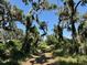 Scenic path through lush vegetation and moss-draped trees offers a tranquil escape to nature at 3182 Sailing Pier Ave, Winter Garden, FL 34787