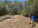 Winding nature trail surrounded by trees and vegetation at 3182 Sailing Pier Ave, Winter Garden, FL 34787