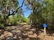 Scrub Local nature trail winding through the woods at 3182 Sailing Pier Ave, Winter Garden, FL 34787