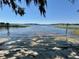 Calm waters with shoreline vegetation provide a peaceful setting for waterfront enjoyment at 3182 Sailing Pier Ave, Winter Garden, FL 34787